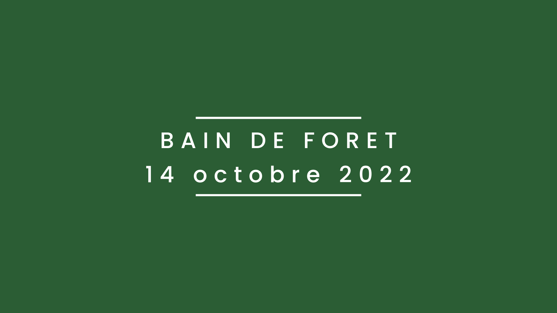 Bain de forêt du 14 octobre 2022