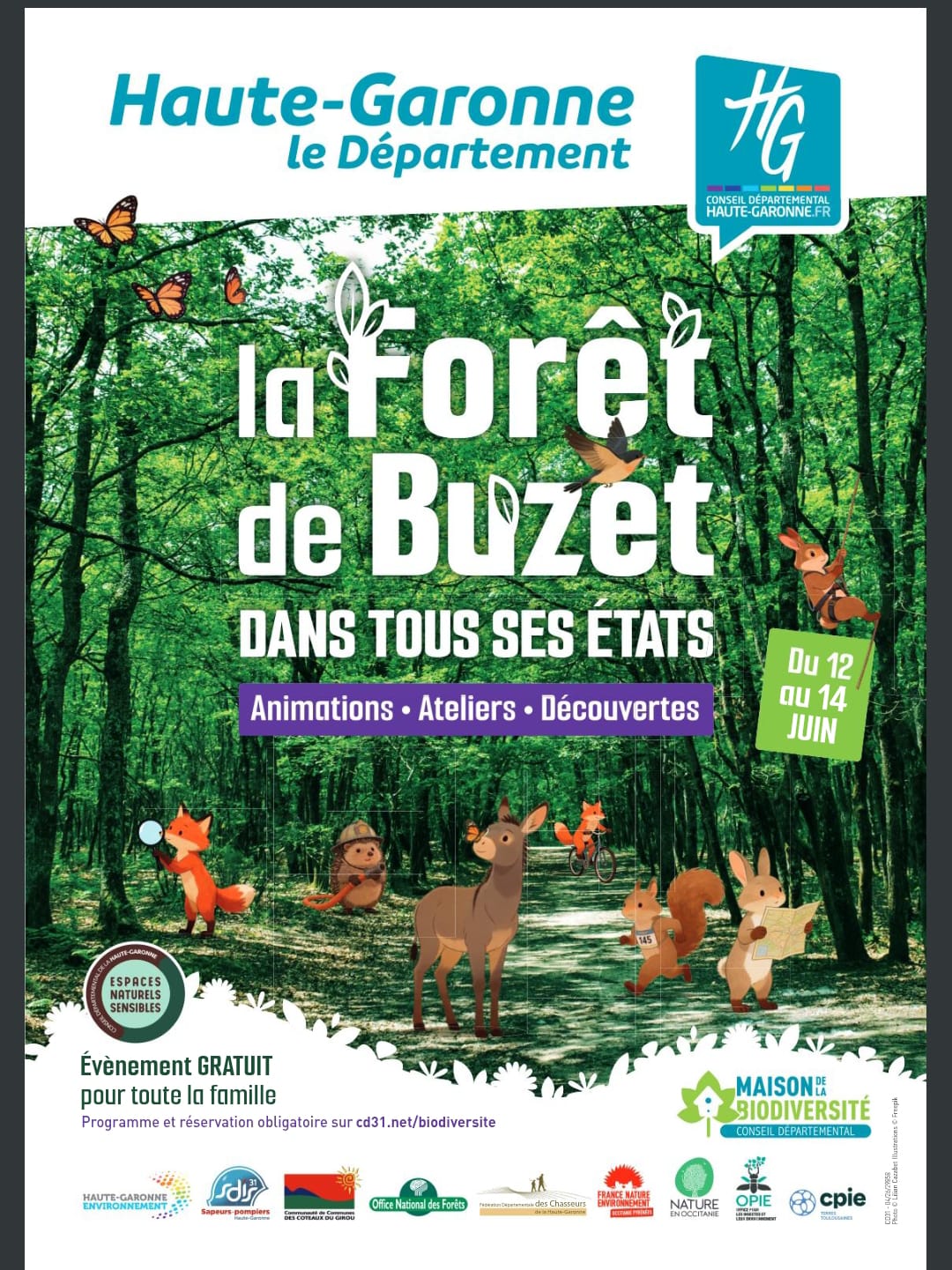 La forêt de Buzet dans tous ses états